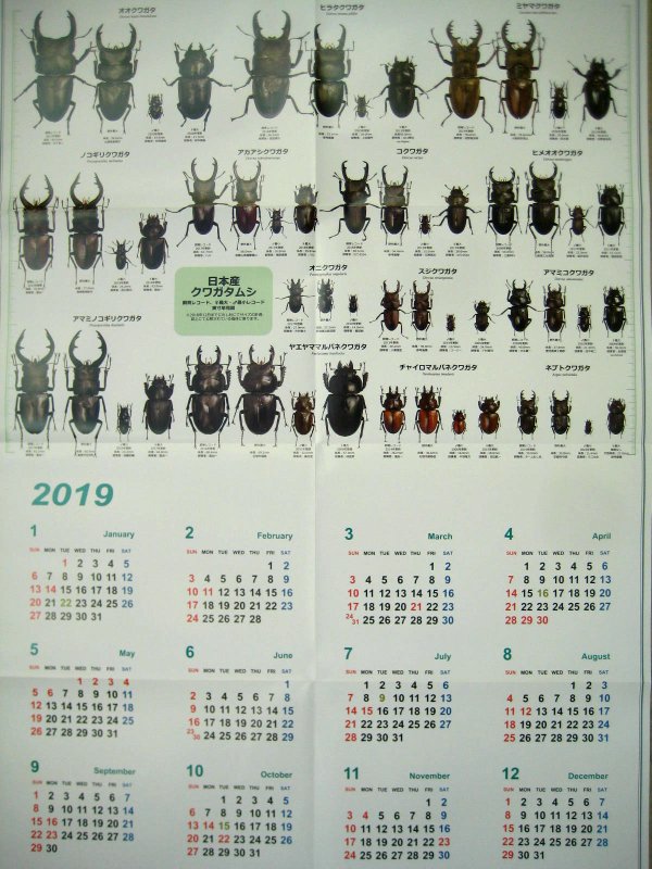 むし社２０１９年度版カレンダー（BE・KUWA）