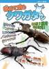初めて飼うクワガタムシ 2013