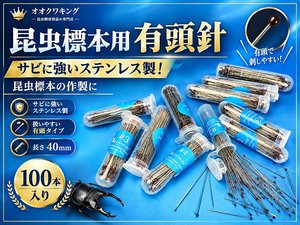 �����W�{�p�L���j[094]