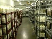 出荷を待つ菌糸ブロック