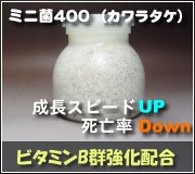 極上 カワラタケ菌糸瓶【12本】 タランドゥス・レギウス・オウゴンオニ