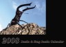昆虫関連書籍/飼育マニュアル・ＤＶＤ 昆虫フィールド ２００８年度版カレンダー [293]