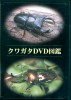 昆虫関連書籍/飼育マニュアル・ＤＶＤ 【ＤＶＤ】クワガタDVD図鑑 [295]