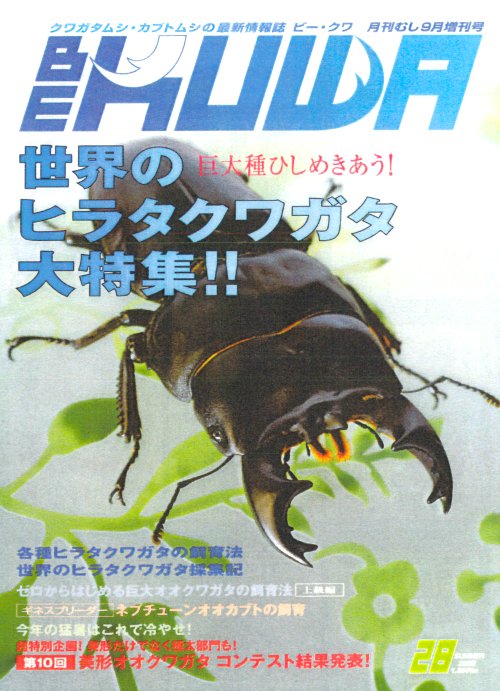 BE KUWA（ビークワ）28号（2008年 08月号）●特集=世界のヒラタクワガタ大特集（むし社,2008年）