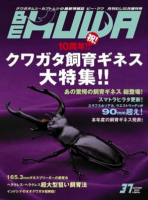 ビークワ３７号（BE・KUWA） クワガタ飼育ギネス大特集