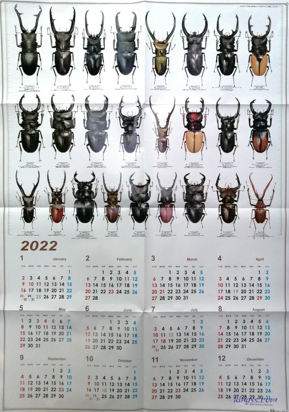 むし社２０２２年度版カレンダー