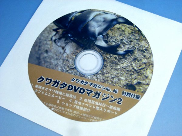 クワガタＤＶＤマガジン２　（DVD）