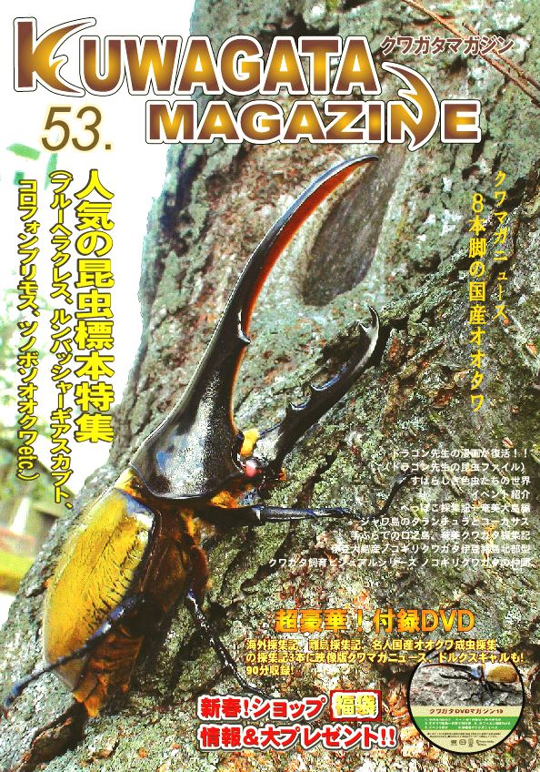 くわがたマガジン５３号　人気の昆虫標本特集