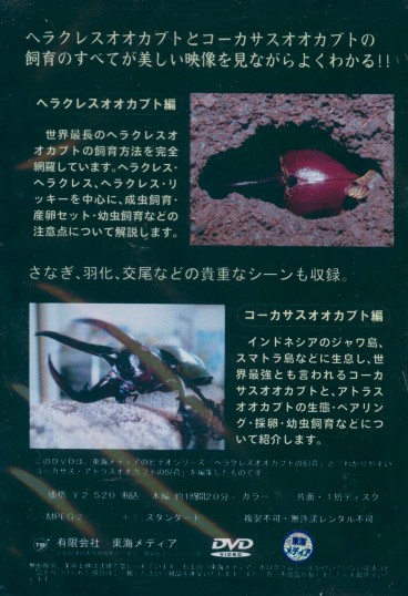 【ＤＶＤ】外国産オオカブトの飼育SPの裏パッケージ