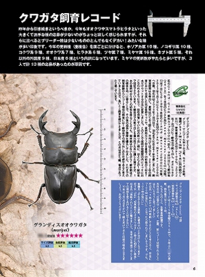 ビークワ93号[717]