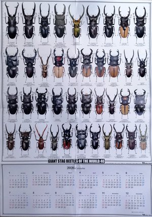 �y�Q�O�Q�U�N�x�z�@�ނ��� �Q�O�Q�U�N�x�ŃJ�����_�[[725]