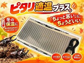 クワガタやカブトの冬場の保温に「ピタリ適温プラス」