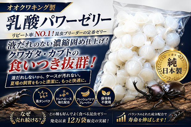 食いつきバツグン乳酸パワーゼリー販売 クワガタ,カブトムシ昆虫ゼリー